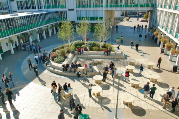 UNIVERSITY OF ESSEX - COLCHESTER